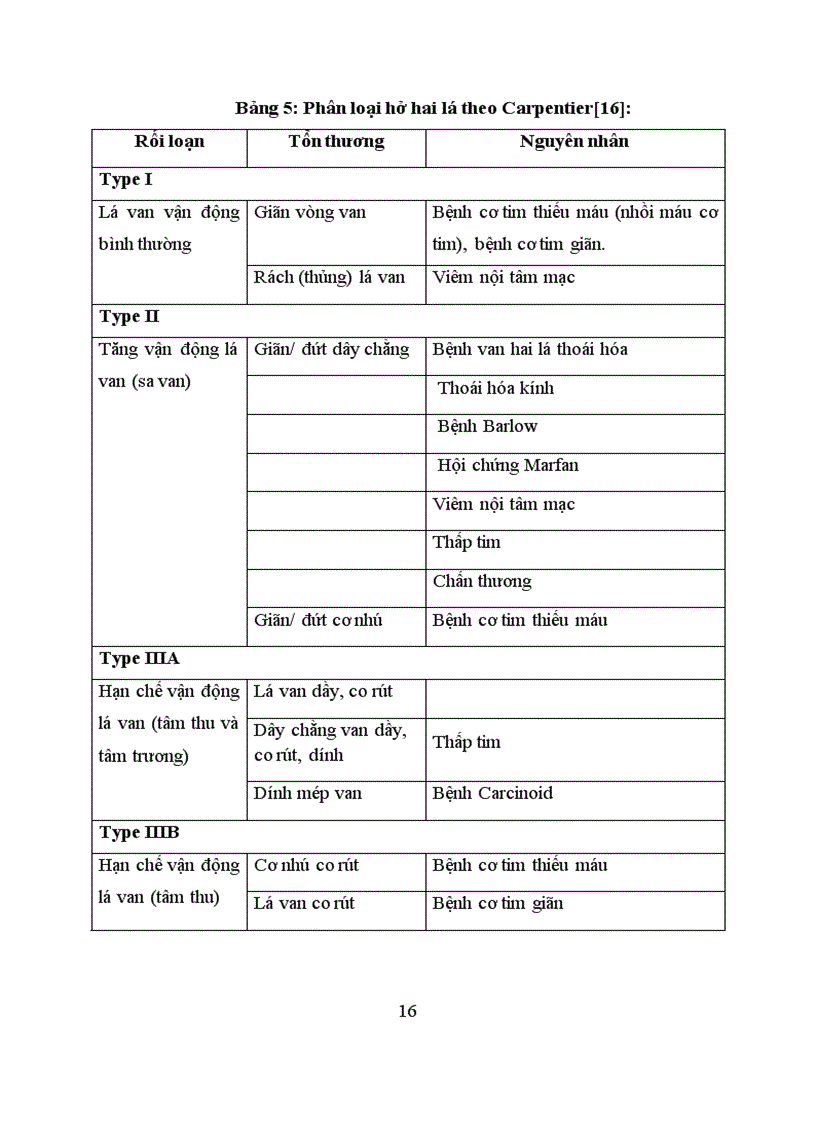 image for page Nghiên cứu đặc điểm lâm sàng và cận lâm sàng kết quả của phẫu thuật thay van hai lá cơ học tại bệnh viện Việt Đức