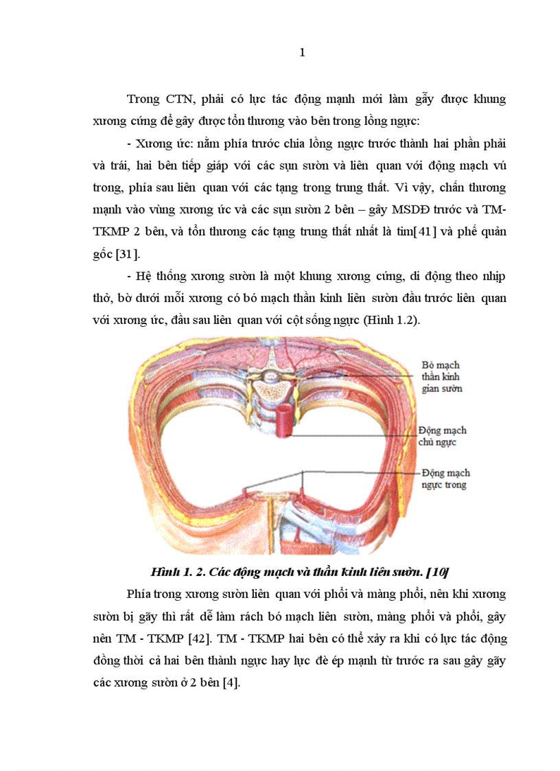 image for page Nghiên cứu đặc điểm lâm sàng cận lâm sàng và kết quả điều trị tràn máu tràn khí màng phổi hai bên trong chấn thương ngực kín 1