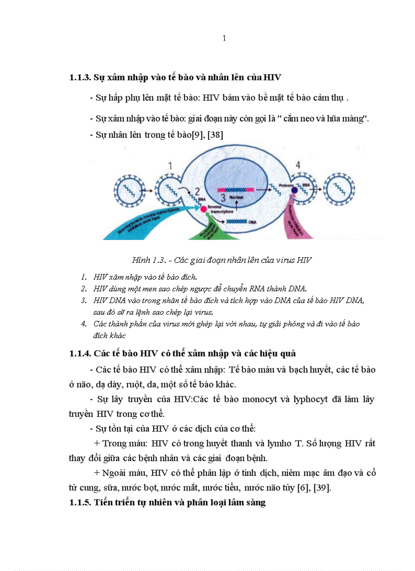 image for page Thông tin chung về bệnh nhân đang được điều trị ARV theo dự án Quĩ toàn cầu