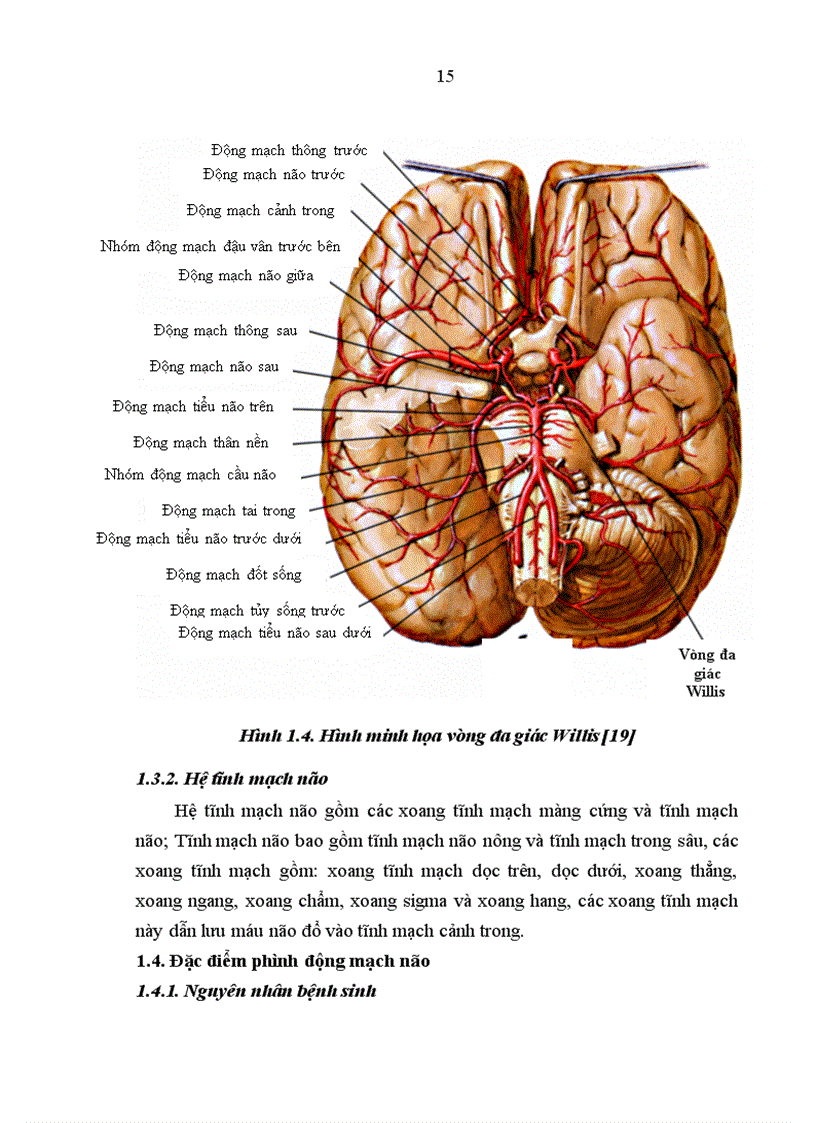 image for page Nghiên cứu đặc điểm lâm sàng hình ảnh học và một số biến chứng của bệnh nhân chảy máu dưới nhện do vỡ phình động mạch thông trước 1