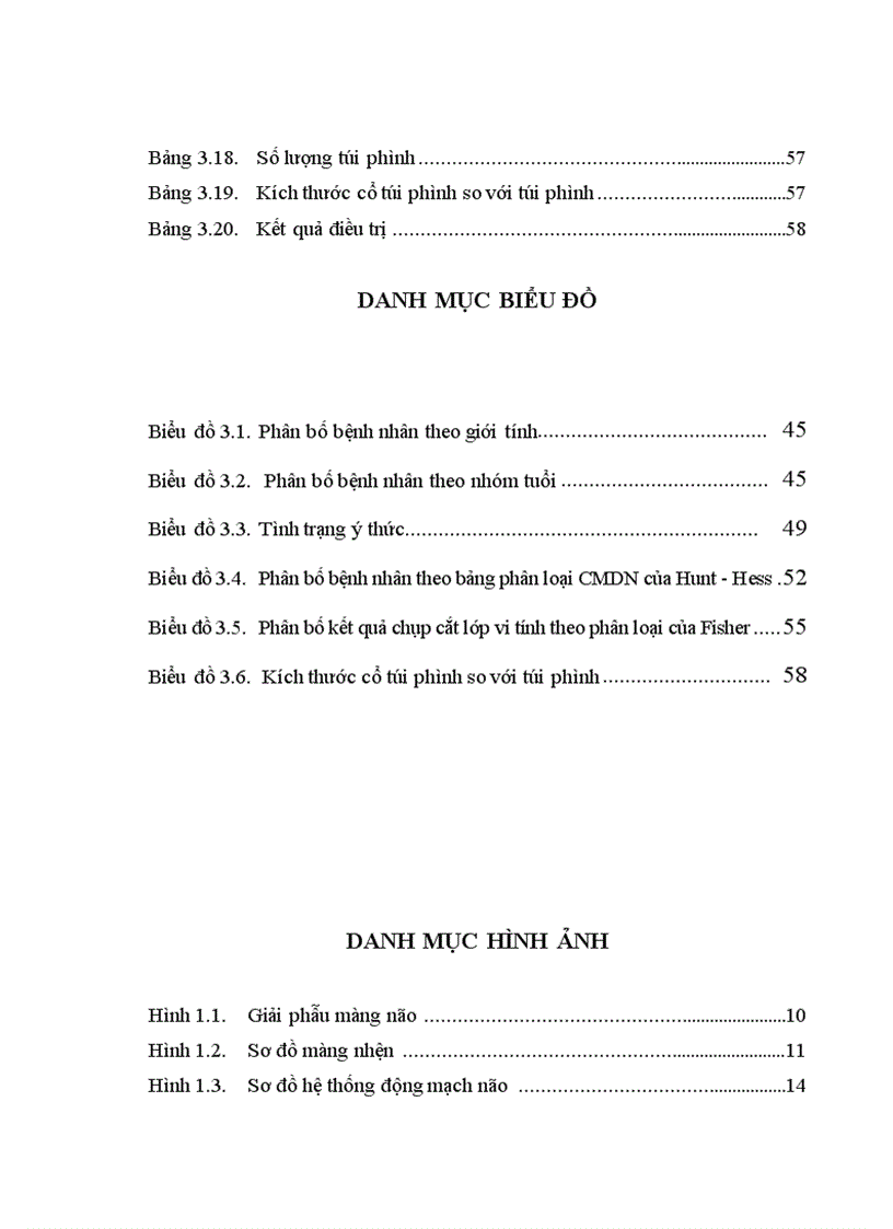 image for page Nghiên cứu đặc điểm lâm sàng hình ảnh học và một số biến chứng của bệnh nhân chảy máu dưới nhện do vỡ phình động mạch thông trước 1