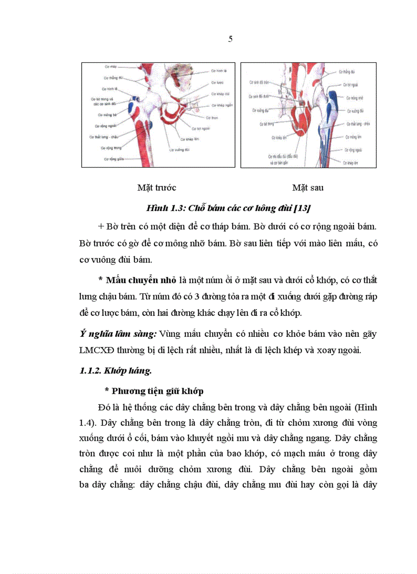 Đánh giá kết quả điều trị gãy liên mấu chuyển xương đùi ở người cao tuổi bằng kết hợp xương nẹp vít động tại Bệnh viện Xanh Pôn và Bệnh viện 198