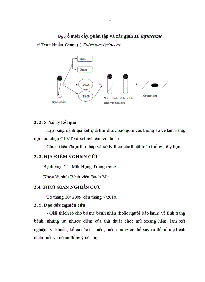image for page Nghiên cứu đặc điểm lâm sàng và vi khuẩn trong viêm xoang nhiễm khuẩn ở trẻ em