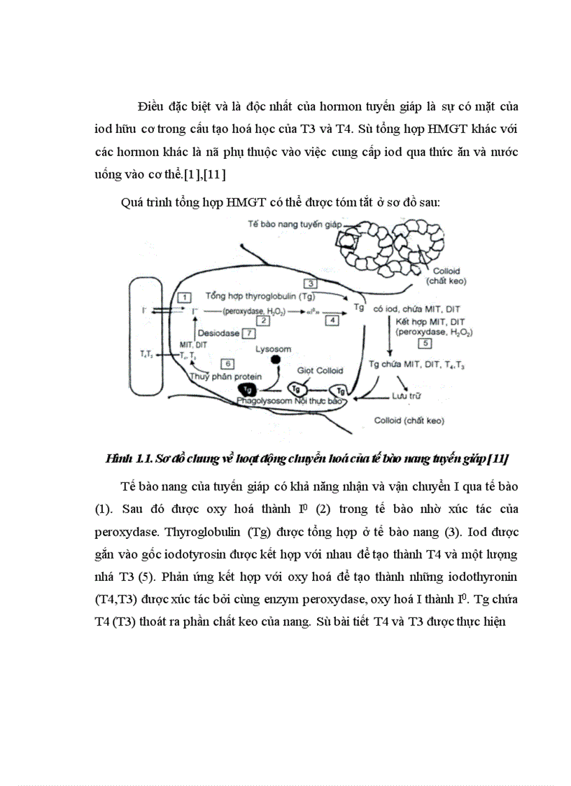 image for page Nghiên cứu sự phát triển thể chất tinh thần và yếu tố ảnh hưởng đến kết quả điều trị ở trẻ suy giáp trạng bẩm sinh do loạn sản tuyến giáp tại Bệnh viện Nhi Trung ương