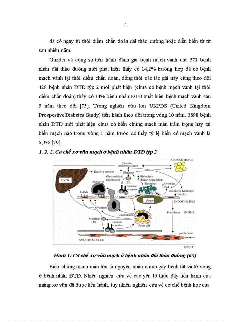 image for page Nghiên cứu vai trò của thang điểm Framingham trong đánh giá nguy cơ bệnh mạch vành ở bệnh nhân đái tháo đường týp 2 1