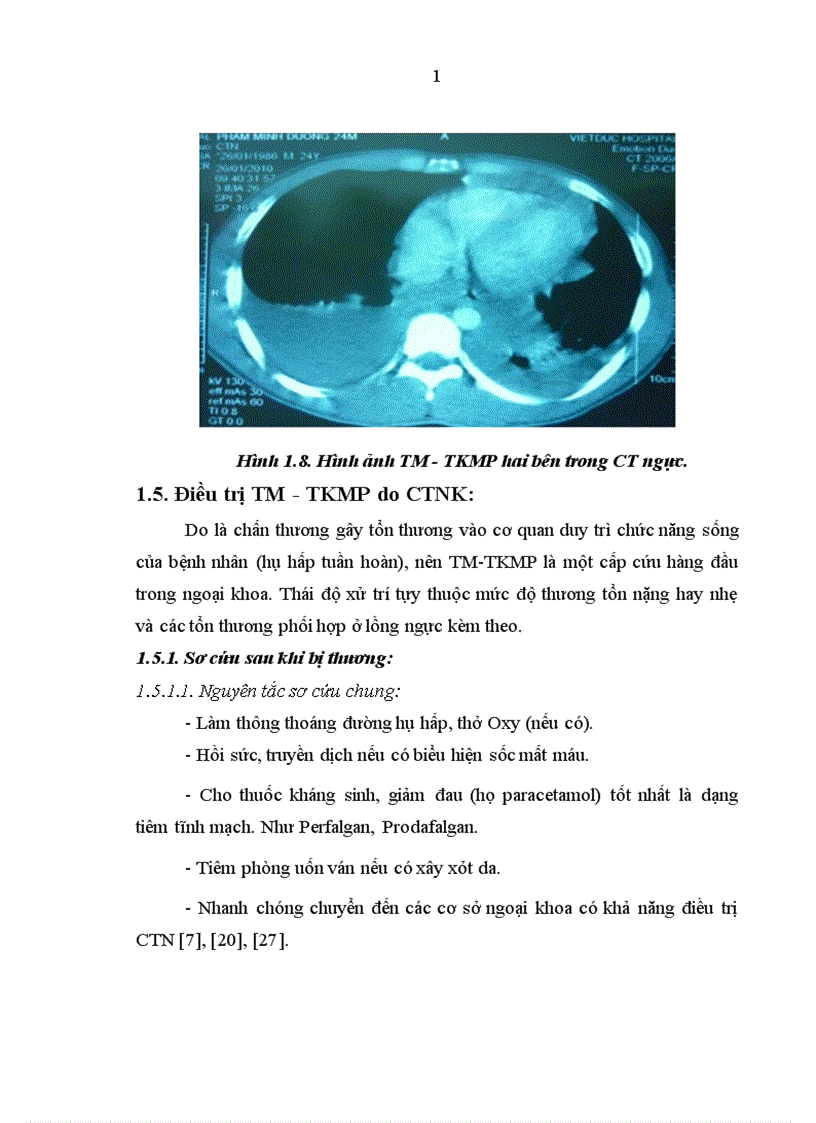image for page Nghiên cứu đặc điểm lâm sàng cận lâm sàng và kết quả điều trị tràn máu tràn khí màng phổi hai bên trong chấn thương ngực kín 1