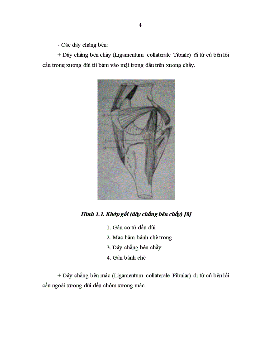 image for page Đánh giá kết quả phẫu thuật vỡ xương bánh chè tại Bệnh viện Việt Đức từ tháng 1 2006 đến 12 2007