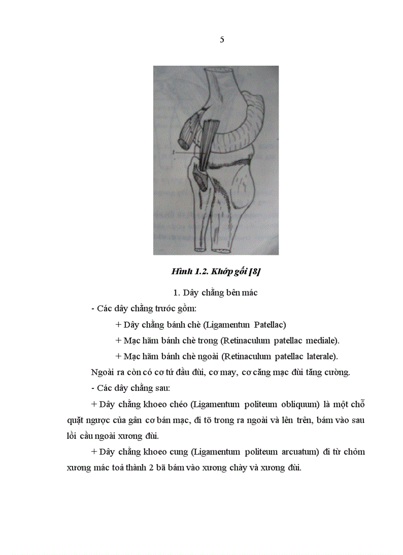 image for page Đánh giá kết quả phẫu thuật vỡ xương bánh chè tại Bệnh viện Việt Đức từ tháng 1 2006 đến 12 2007