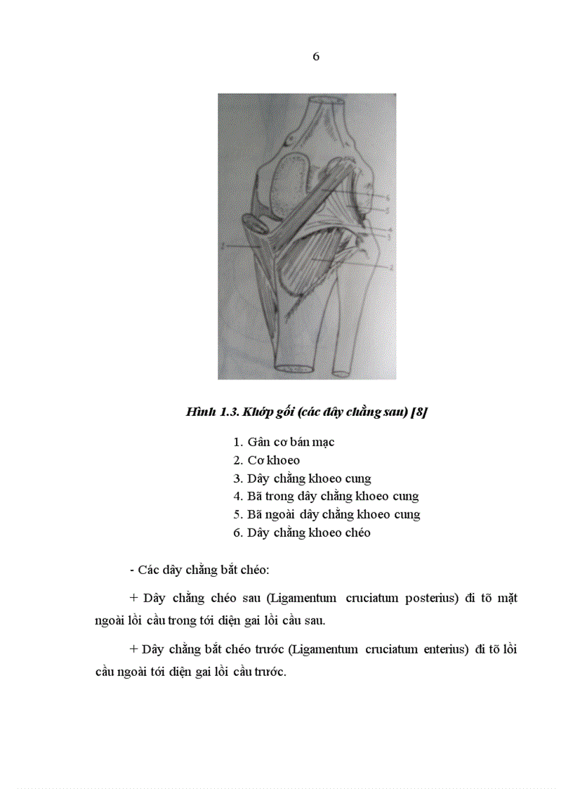 image for page Đánh giá kết quả phẫu thuật vỡ xương bánh chè tại Bệnh viện Việt Đức từ tháng 1 2006 đến 12 2007