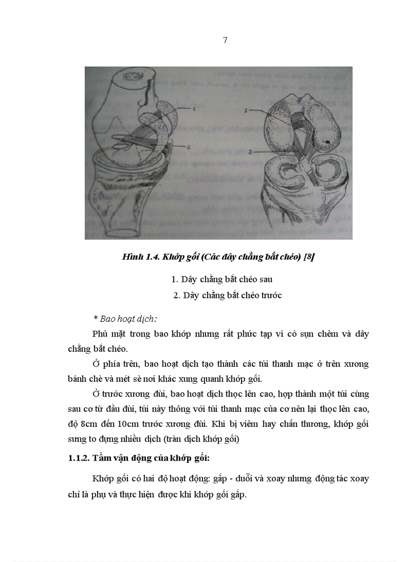 image for page Đánh giá kết quả phẫu thuật vỡ xương bánh chè tại Bệnh viện Việt Đức từ tháng 1 2006 đến 12 2007