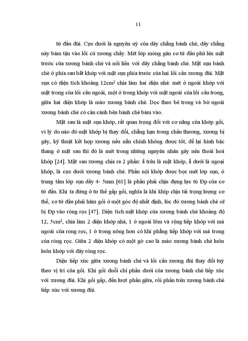 image for page Đánh giá kết quả phẫu thuật vỡ xương bánh chè tại Bệnh viện Việt Đức từ tháng 1 2006 đến 12 2007