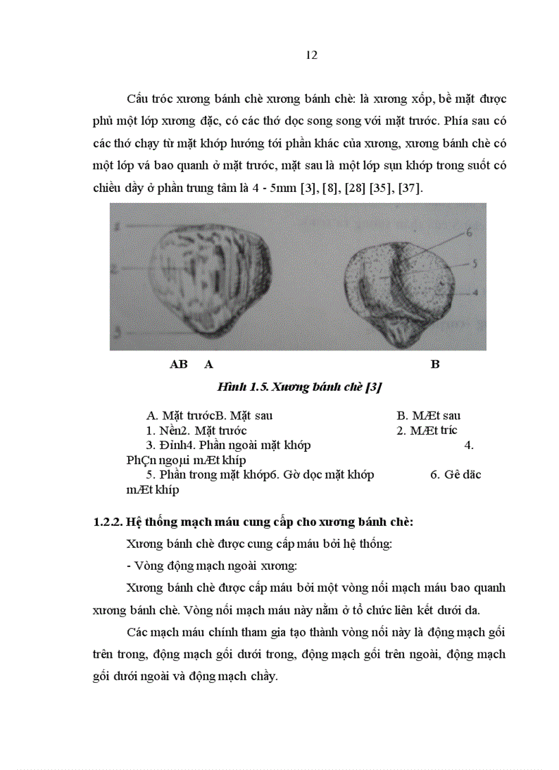 image for page Đánh giá kết quả phẫu thuật vỡ xương bánh chè tại Bệnh viện Việt Đức từ tháng 1 2006 đến 12 2007