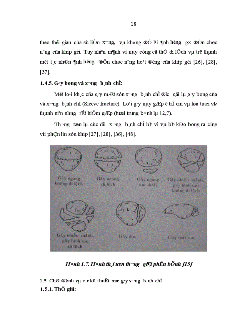 image for page Đánh giá kết quả phẫu thuật vỡ xương bánh chè tại Bệnh viện Việt Đức từ tháng 1 2006 đến 12 2007