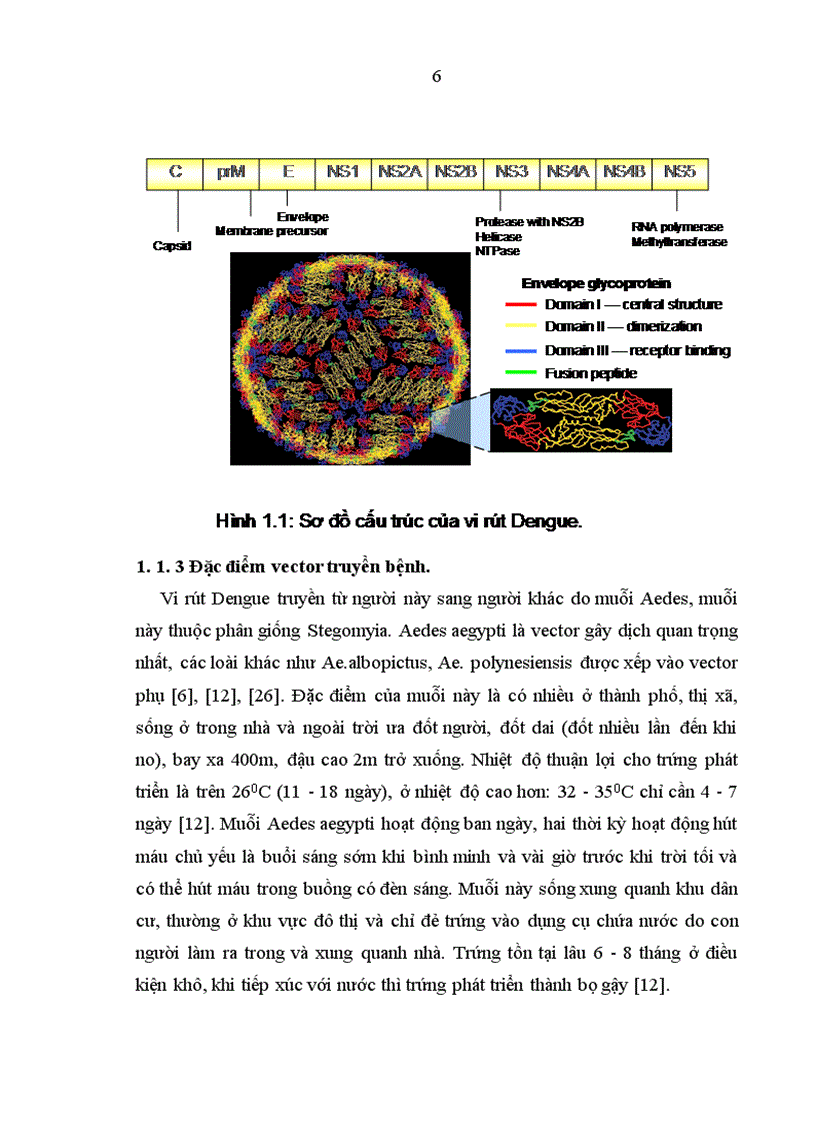 image for page Nghiên cứu đặc điểm lâm sàng cận lâm sàng và điều trị bệnh nhân sốt xuất huyết Dengue nặng ở người lớn tiêu chuẩn WHO 2009 điều trị tại Bệnh viện Bệnh Nhiệt đới Trung ương trong 2 năm 2009 2010
