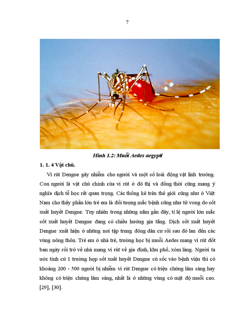 image for page Nghiên cứu đặc điểm lâm sàng cận lâm sàng và điều trị bệnh nhân sốt xuất huyết Dengue nặng ở người lớn tiêu chuẩn WHO 2009 điều trị tại Bệnh viện Bệnh Nhiệt đới Trung ương trong 2 năm 2009 2010