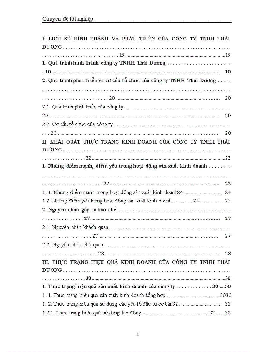 image for page Một số biện pháp Chủ yếu nhằm nâng cao hiệu quả kinh doanh ở Công ty TNHH Thái Dương