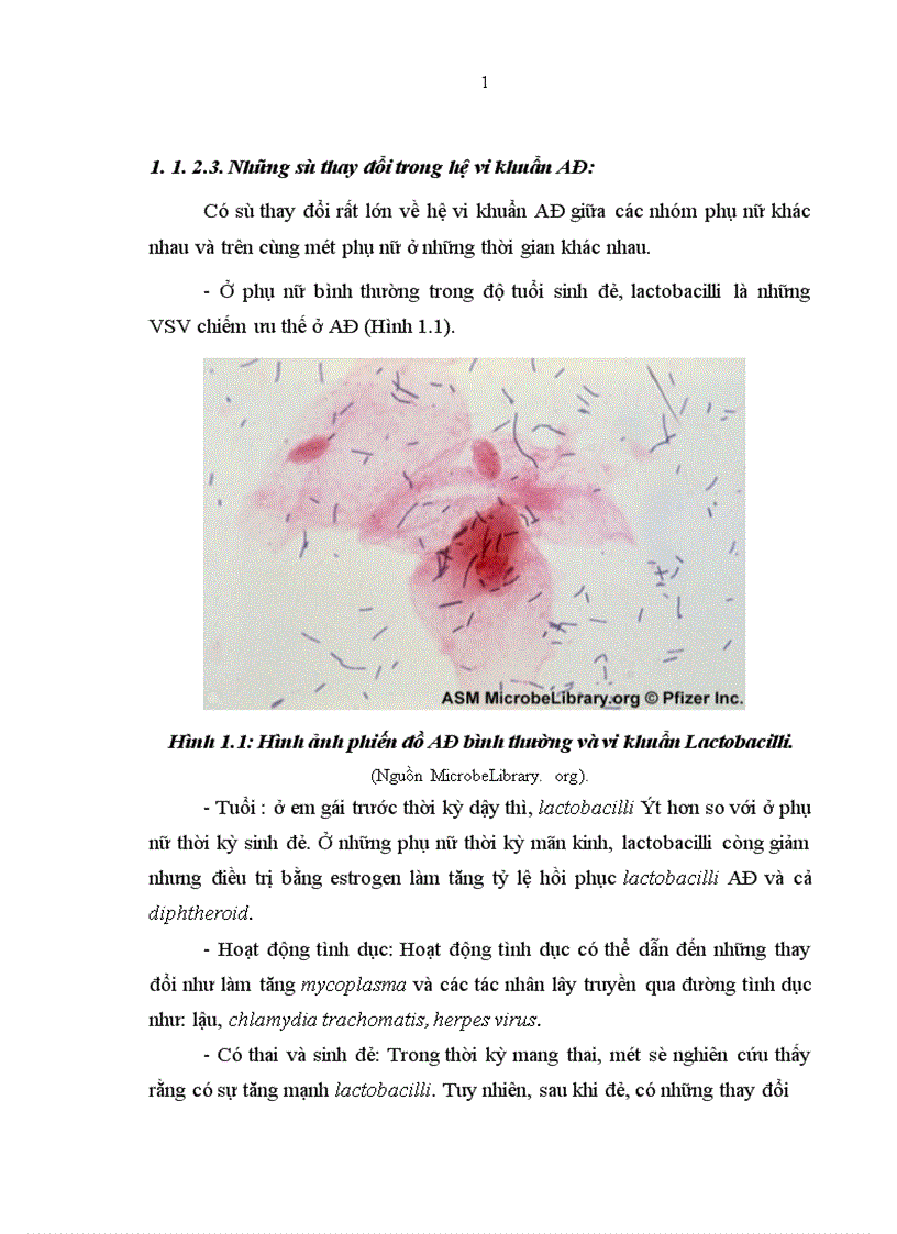 image for page Nghiên cứu đặc điểm lâm sàng cận lâm sàng của viêm AĐ và hiệu quả của Fluomizin trong điều trị tại Bệnh viện Phụ Sản Trung ương 1
