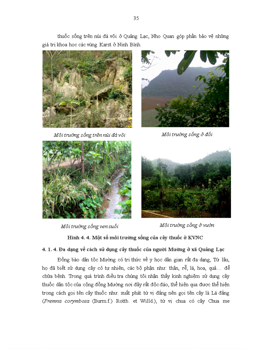 image for page Nghiên cứu tính đa dạng nguồn gen cây thuốc được sử dụng theo kinh nghiệm bản địa của người Mường ở xã Quảng Lạc huyện Nho Quan tỉnh Ninh Bình