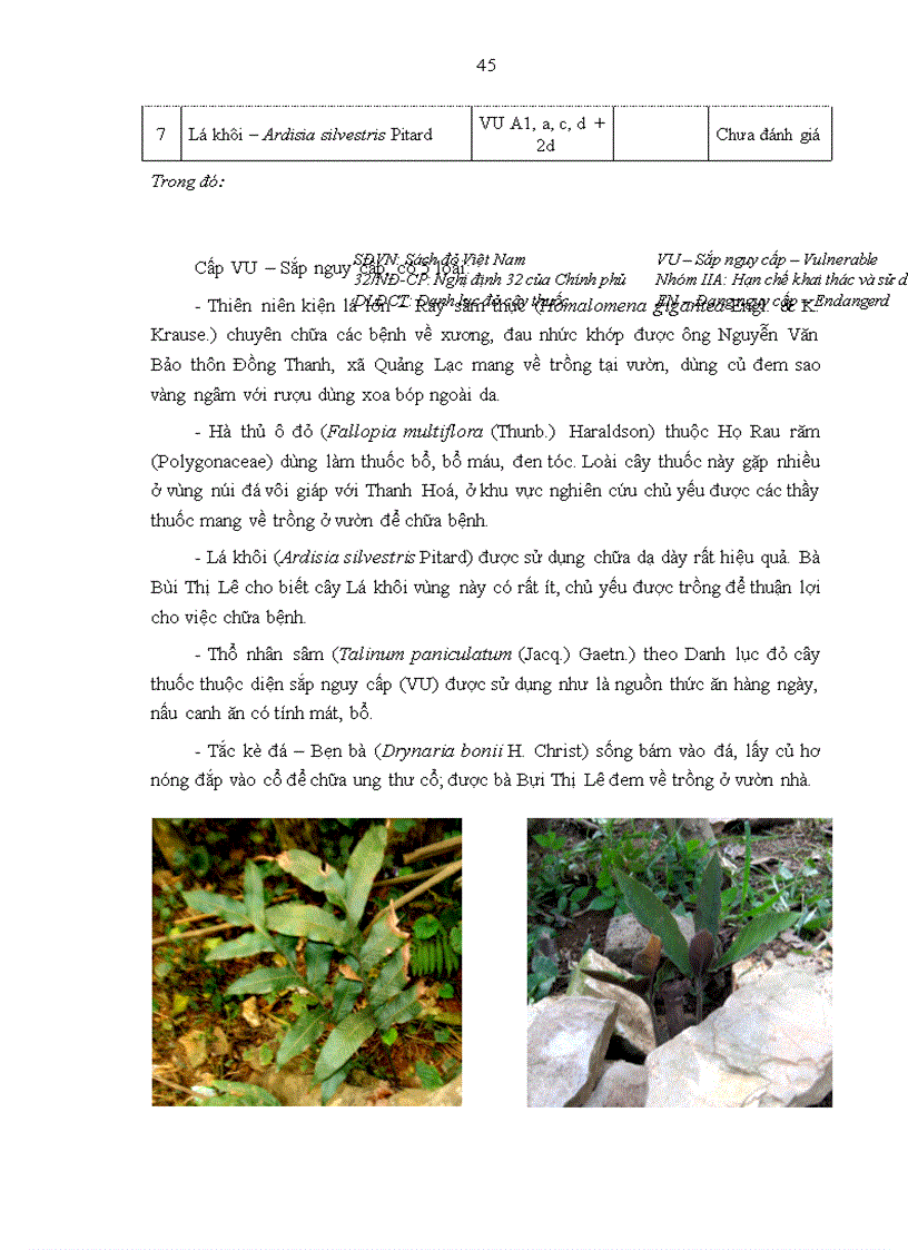 image for page Nghiên cứu tính đa dạng nguồn gen cây thuốc được sử dụng theo kinh nghiệm bản địa của người Mường ở xã Quảng Lạc huyện Nho Quan tỉnh Ninh Bình