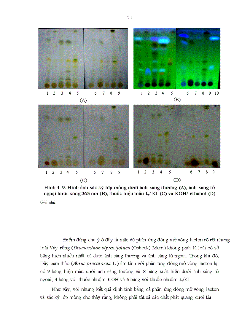 image for page Nghiên cứu tính đa dạng nguồn gen cây thuốc được sử dụng theo kinh nghiệm bản địa của người Mường ở xã Quảng Lạc huyện Nho Quan tỉnh Ninh Bình