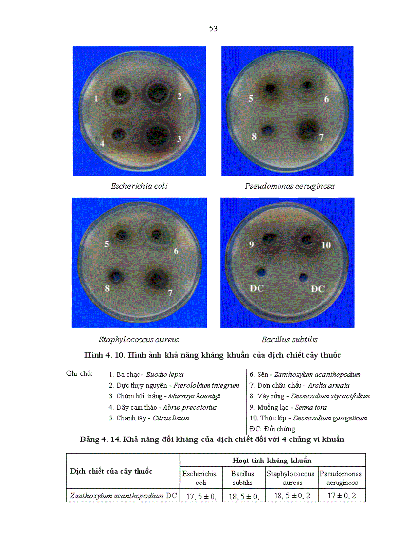 image for page Nghiên cứu tính đa dạng nguồn gen cây thuốc được sử dụng theo kinh nghiệm bản địa của người Mường ở xã Quảng Lạc huyện Nho Quan tỉnh Ninh Bình