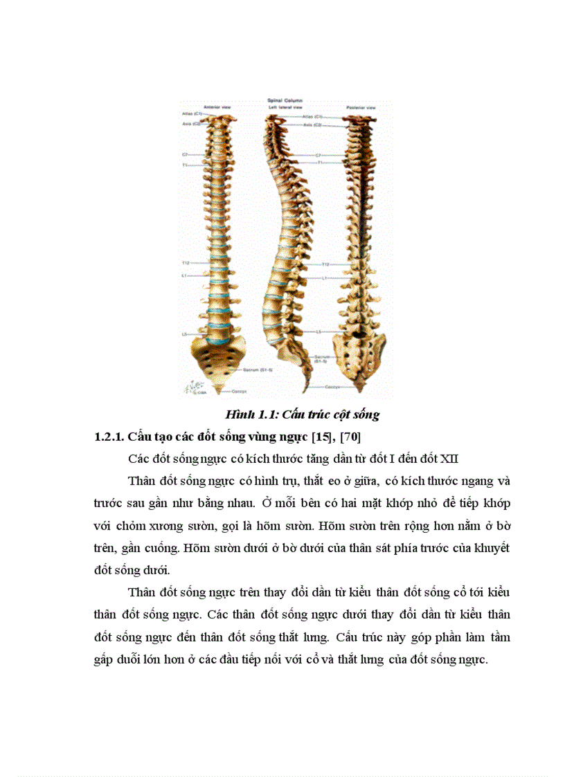 image for page Đánh giá kết quả điều trị phẫu thuật chấn thương cột sống ngực bằng phương pháp bắt vít qua cuống tại Bệnh viện Việt Đức 1