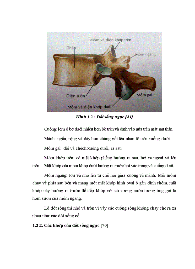 image for page Đánh giá kết quả điều trị phẫu thuật chấn thương cột sống ngực bằng phương pháp bắt vít qua cuống tại Bệnh viện Việt Đức 1