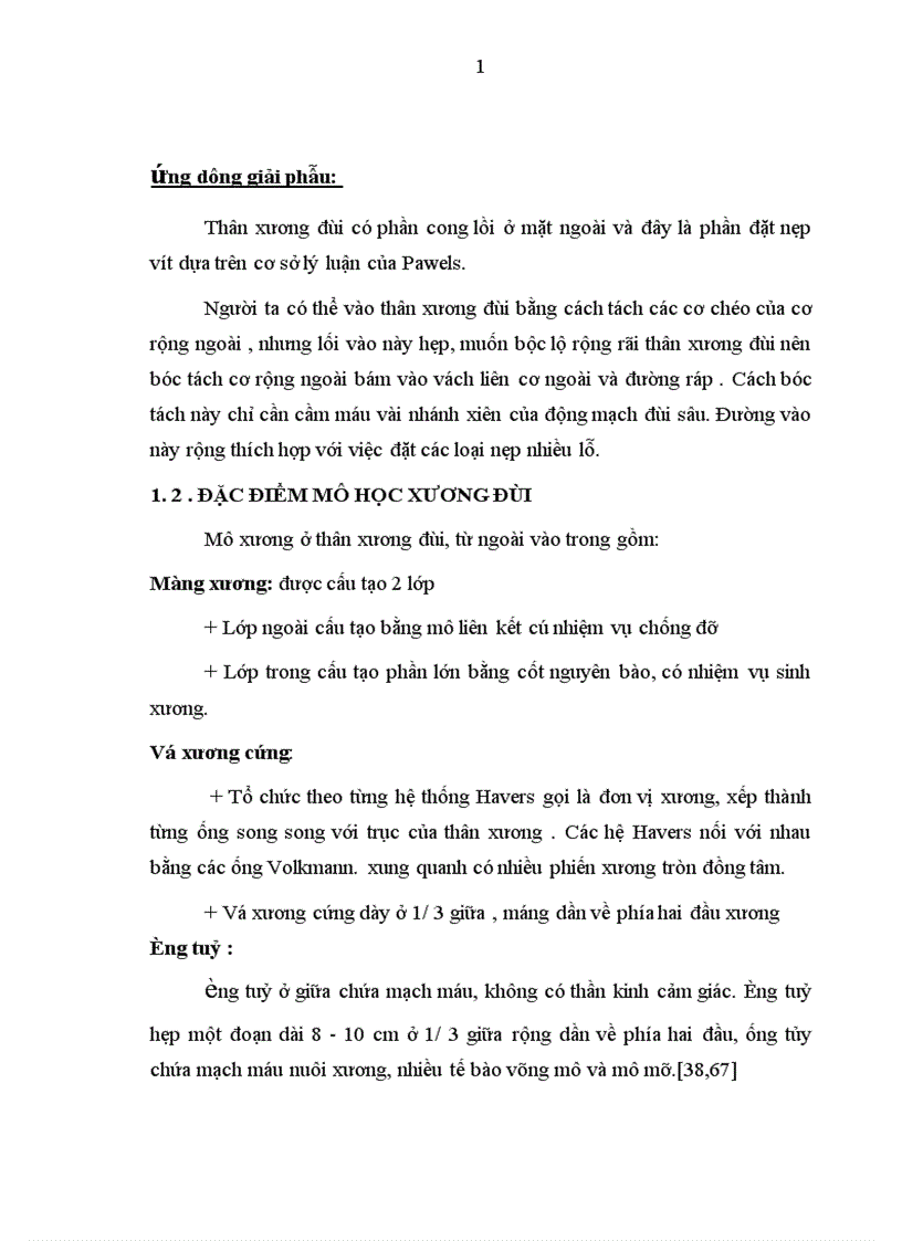 image for page Đánh giá kết quả điều trị gãy kín thân xương đùi ở người lớn bằng nẹp vít tại bệnh viện Việt Đức trong 2 năm 2004 2005 1