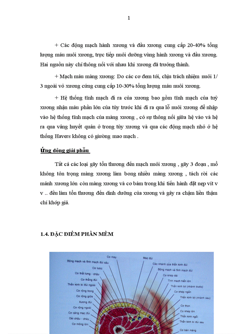 image for page Đánh giá kết quả điều trị gãy kín thân xương đùi ở người lớn bằng nẹp vít tại bệnh viện Việt Đức trong 2 năm 2004 2005 1