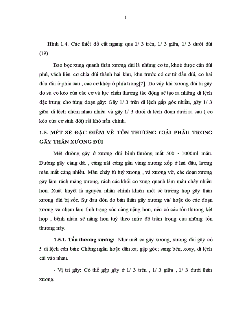 image for page Đánh giá kết quả điều trị gãy kín thân xương đùi ở người lớn bằng nẹp vít tại bệnh viện Việt Đức trong 2 năm 2004 2005 1