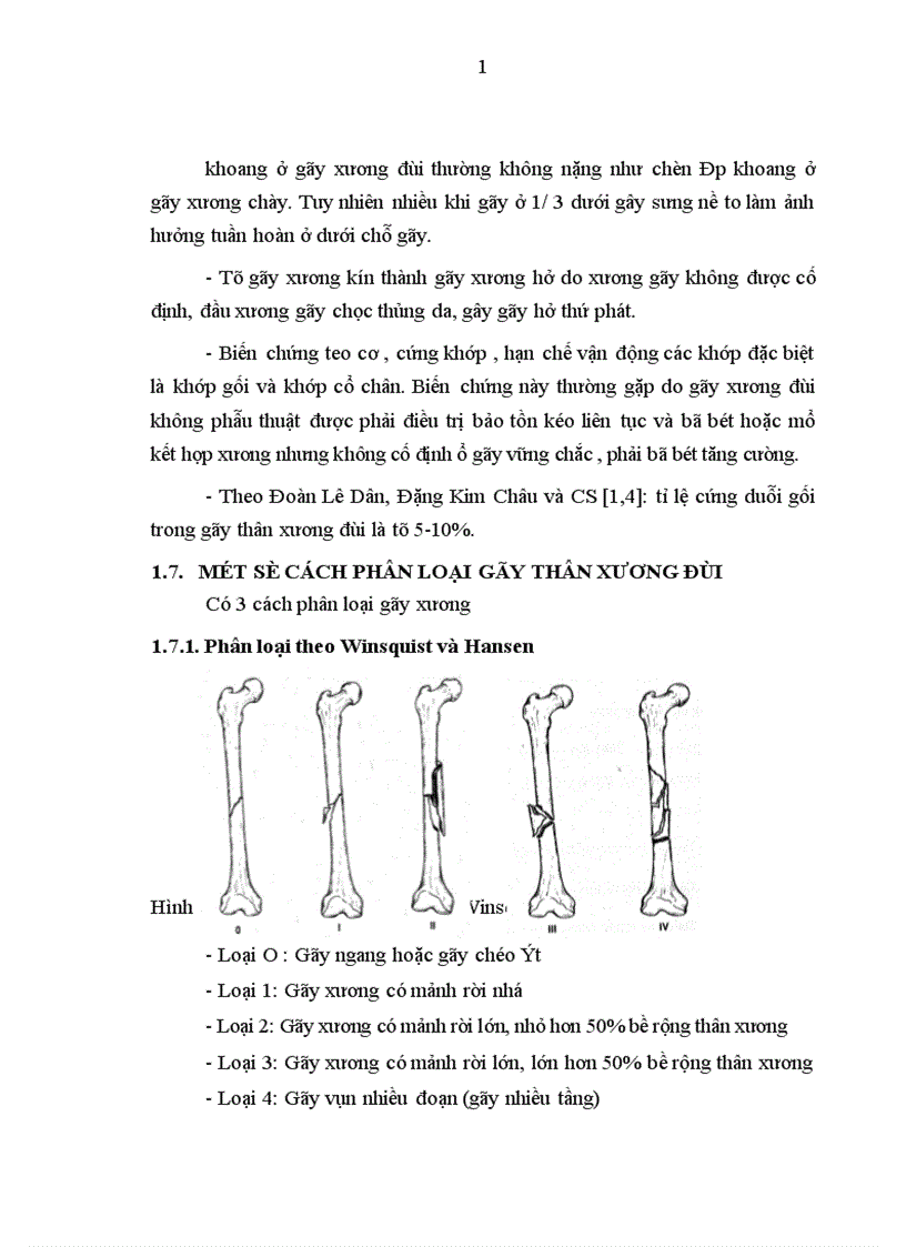 image for page Đánh giá kết quả điều trị gãy kín thân xương đùi ở người lớn bằng nẹp vít tại bệnh viện Việt Đức trong 2 năm 2004 2005 1