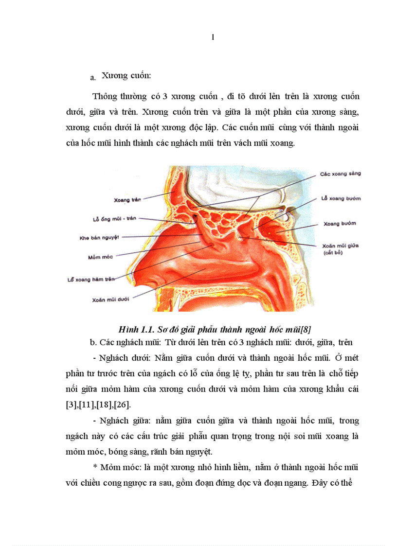 image for page Nghiên cứu đặc điểm lâm sàng cận lâm sàng của viêm xoang nhiễm khuẩn ở trẻ em 1