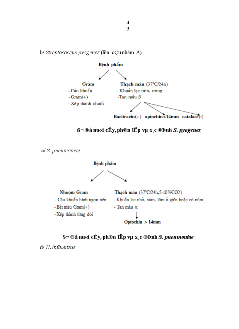 image for page Nghiên cứu đặc điểm lâm sàng cận lâm sàng của viêm xoang nhiễm khuẩn ở trẻ em 1