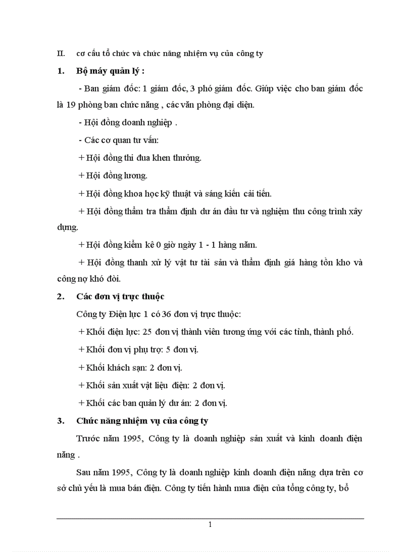 Báo cáo tổng hợp về Công ty điện lực 1