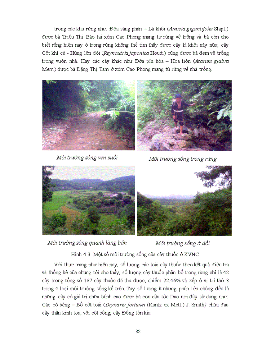 image for page Điều tra cây thuốc được sử dụng theo kinh nghiệm của đồng bào dân tộc Dao ở xã Hợp Tiến huyện Đồng Hỷ tỉnh Thái Nguyên