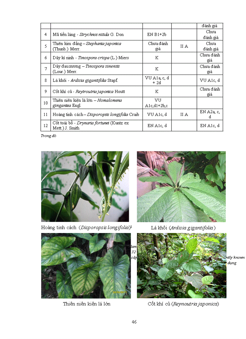 image for page Điều tra cây thuốc được sử dụng theo kinh nghiệm của đồng bào dân tộc Dao ở xã Hợp Tiến huyện Đồng Hỷ tỉnh Thái Nguyên