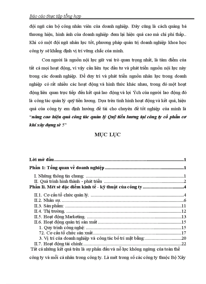 image for page Báo cáo thực tập tại công ty cổ phần cơ khí xây dựng số 5