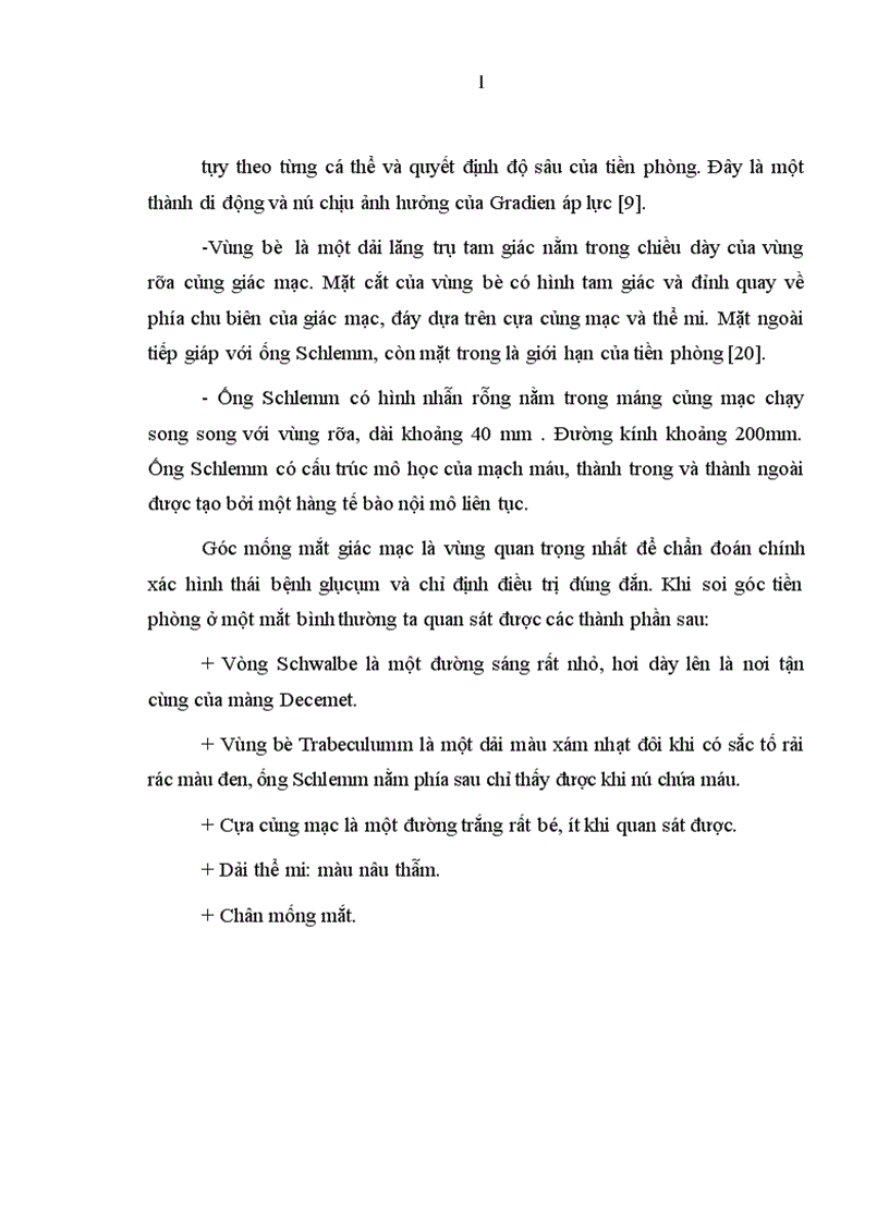 image for page Nghiên cứu đặc điểm lâm sàng và kết quả điều trị của biến chứng xẹp tiền phòng sau phẫu thuật Glôcôm