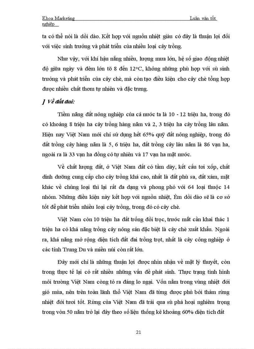 image for page Một số biện pháp nhằm tăng thị phần trong nước của Tổng công ty chè Việt Nam 1