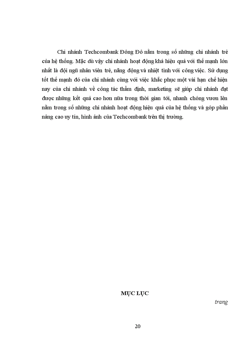 image for page Báo cáo thực tập tổng hợp tại ngân hàng Techcombank và chi nhánh Techcombank Đông Đô