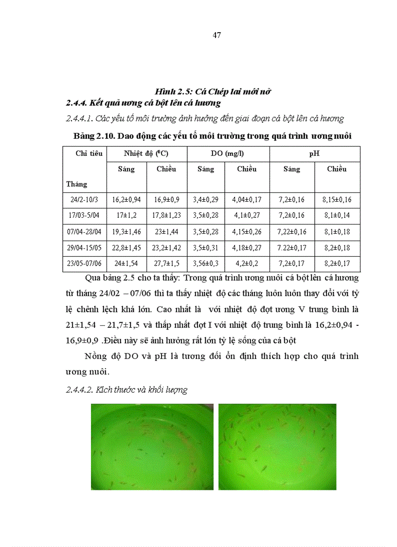 image for page Tìm hiểu quy trình sản xuất giống nhân tạo cá chép lai 3 máu tại trại sản xuất giống cấp I Chi cục thủy sản Phú Thọ
