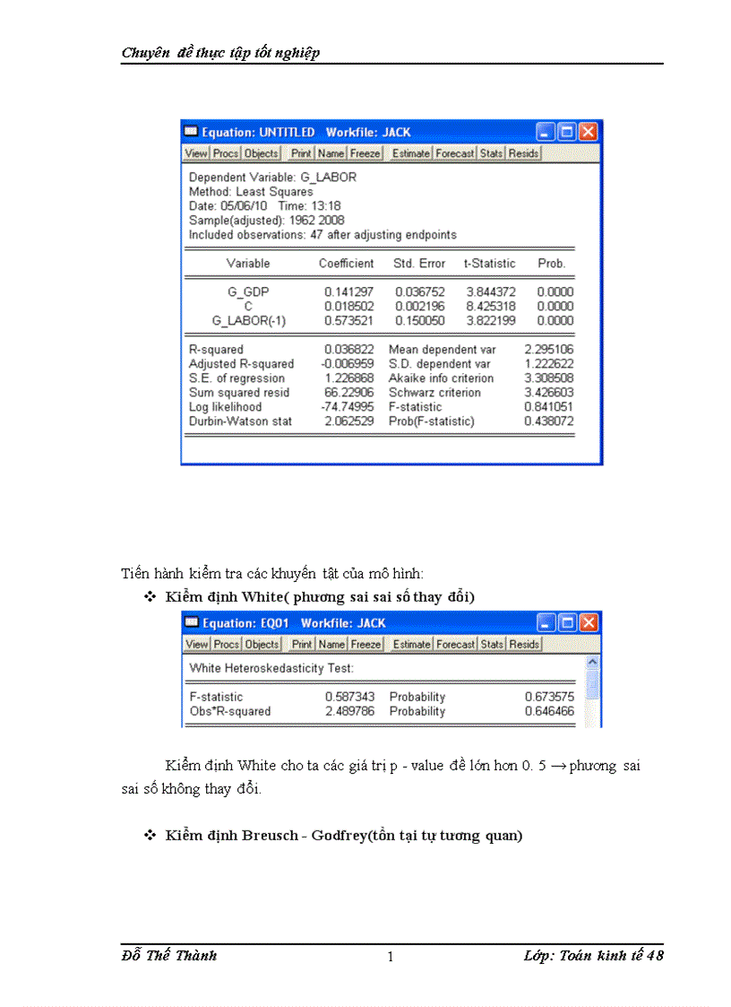 image for page Ứng dụng mô hình trễ koyck trong phân tích ảnh hưởng ngắn hạn và dài hạn của tăng trưởng GDP thực tế tới tăng trưởng Việc Làm và đưa ra một số dự báo