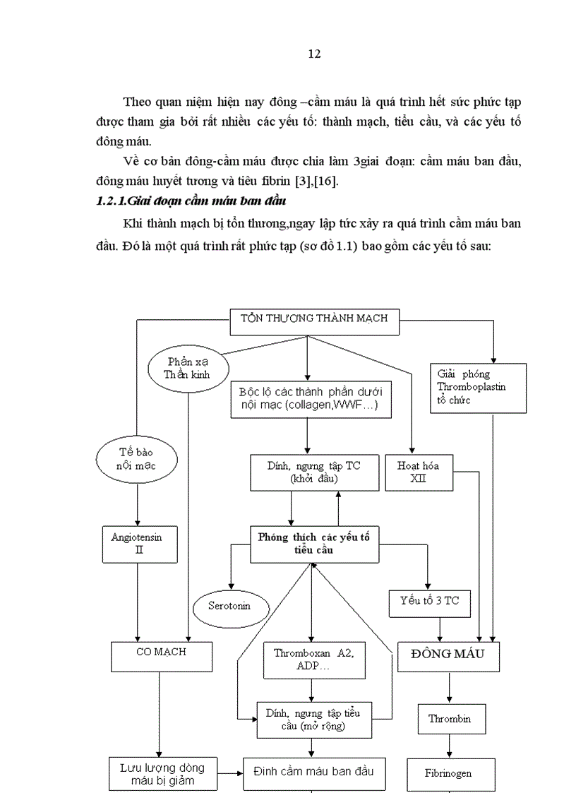 image for page Nghiên cứu Đặc điểm đông máu ở bệnh nhân ung thư gan nguyên phát điều trị tại trung tâm y học hạt nhân ung bướu bệnh viện bạch mai