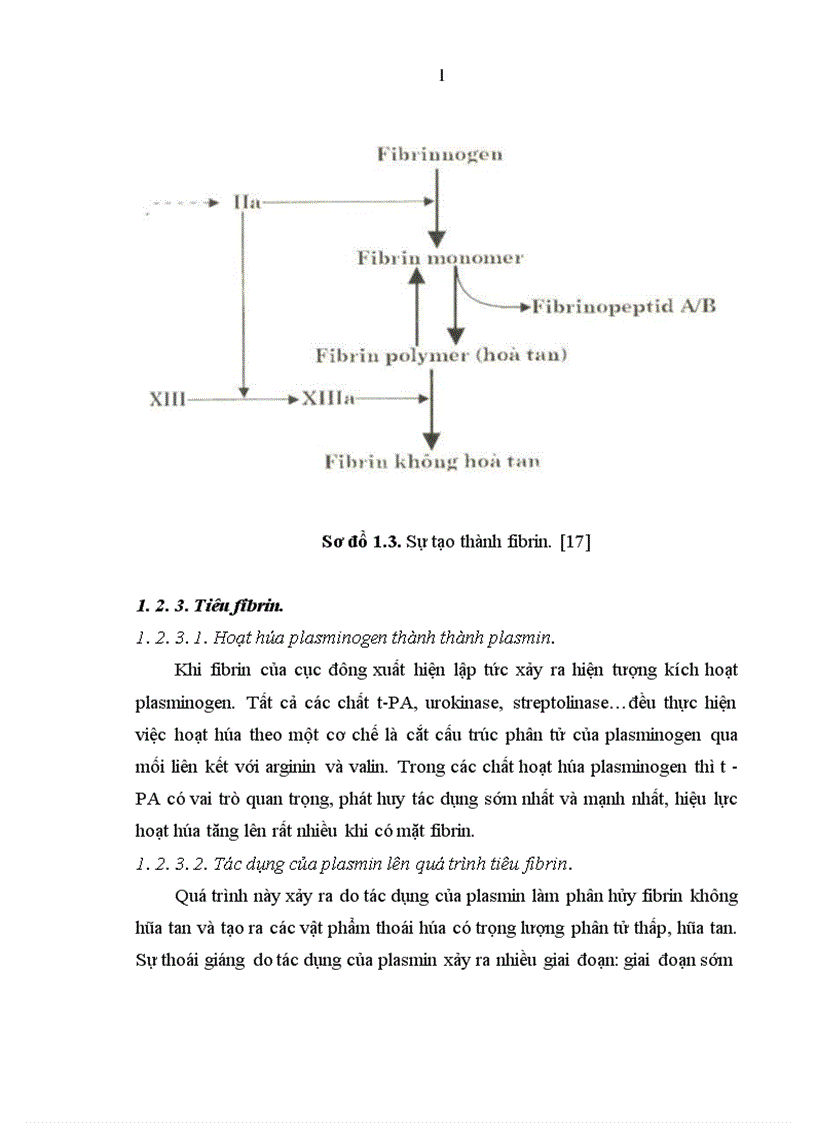 image for page Nghiên cứu Đặc điểm đông máu ở bệnh nhân ung thư gan nguyên phát điều trị tại trung tâm y học hạt nhân ung bướu bệnh viện bạch mai