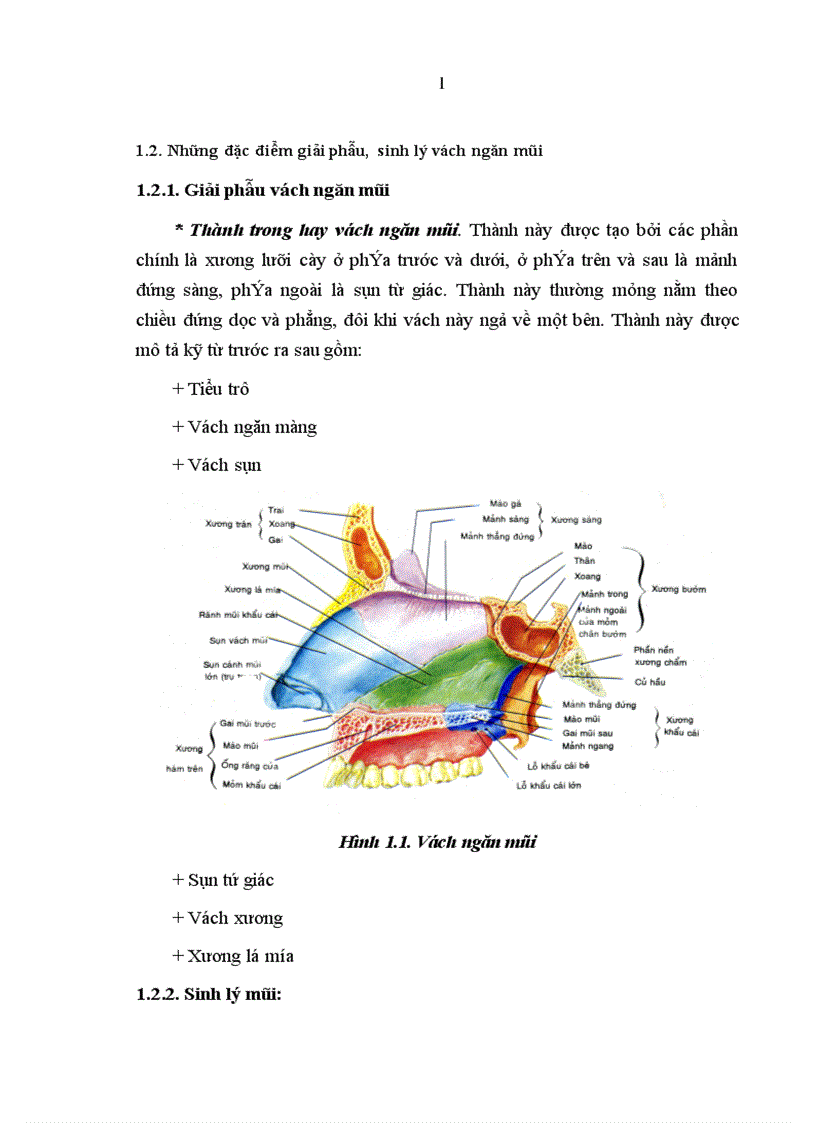 image for page Nghiên cứu đặc điểm dị hình vách ngăn mũi và đánh giá kết quả phẫu thuật nội soi chỉnh hình vách ngăn tại bệnh viện Tai Mũi Họng Trung ương