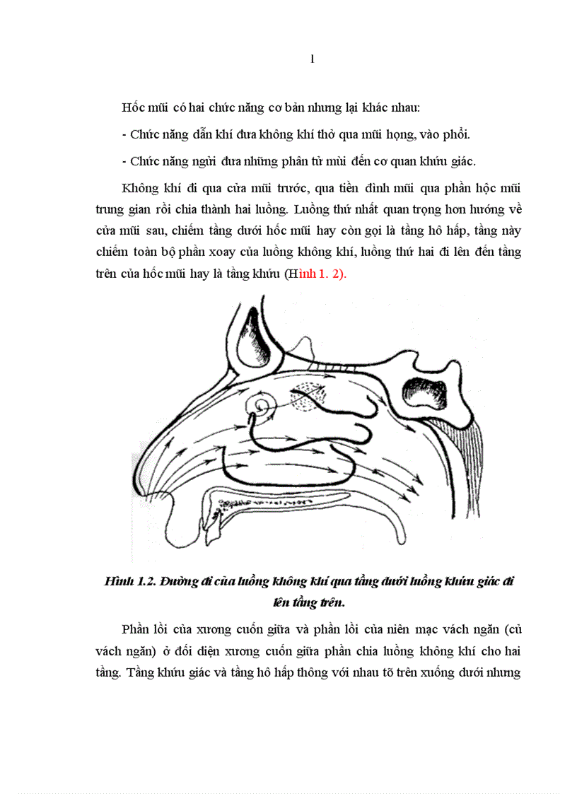 image for page Nghiên cứu đặc điểm dị hình vách ngăn mũi và đánh giá kết quả phẫu thuật nội soi chỉnh hình vách ngăn tại bệnh viện Tai Mũi Họng Trung ương