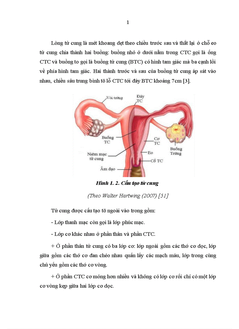 image for page Đối chiếu hình ảnh x quang siêu âm với SOI buồng tử cung tại bệnh viện phụ sản trung ương 1