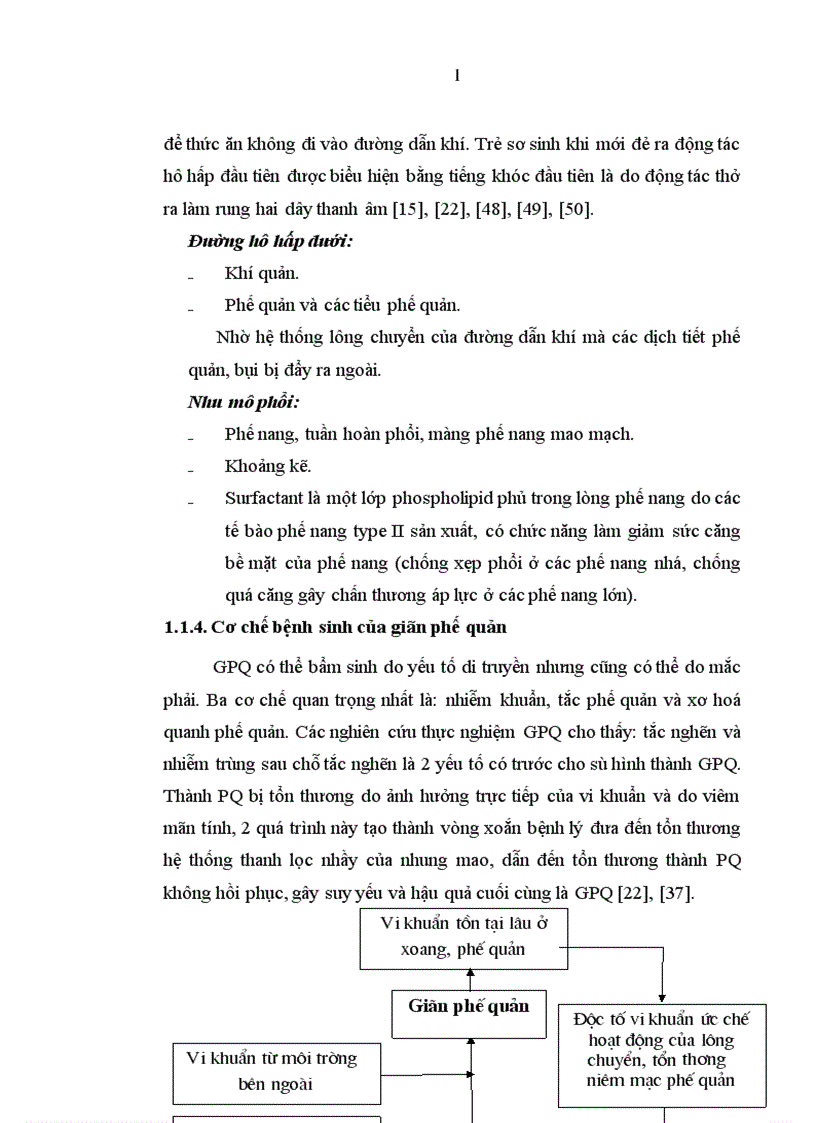 image for page Đo lường chỉ số CLCS SK ở bệnh nhân đợt cấp giãn phế quản điều trị tại khoa Hô hấp Bệnh viện Bạch Mai bằng bộ câu hỏi St George s phiên bản tiếng Việt