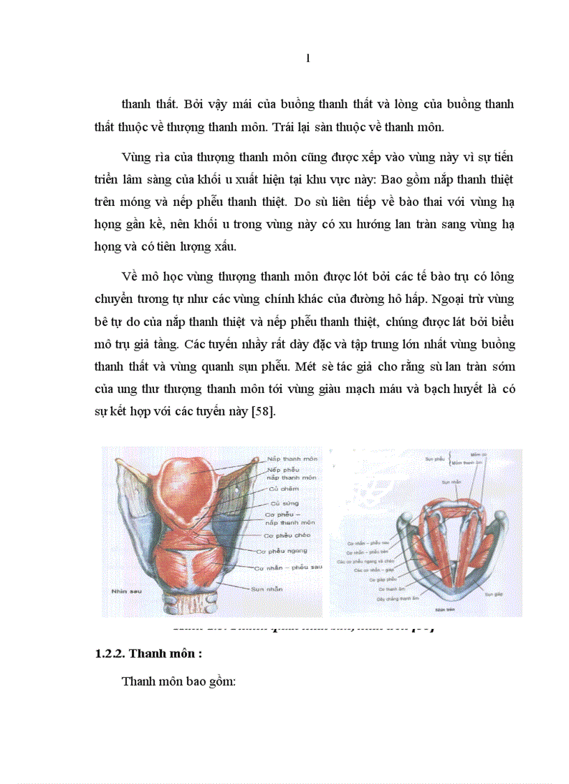 image for page Nghiên cứu đặc điểm lâm sàng và cắt lớp vi tính của ung thư thanh quản giai đoạn T3 T4
