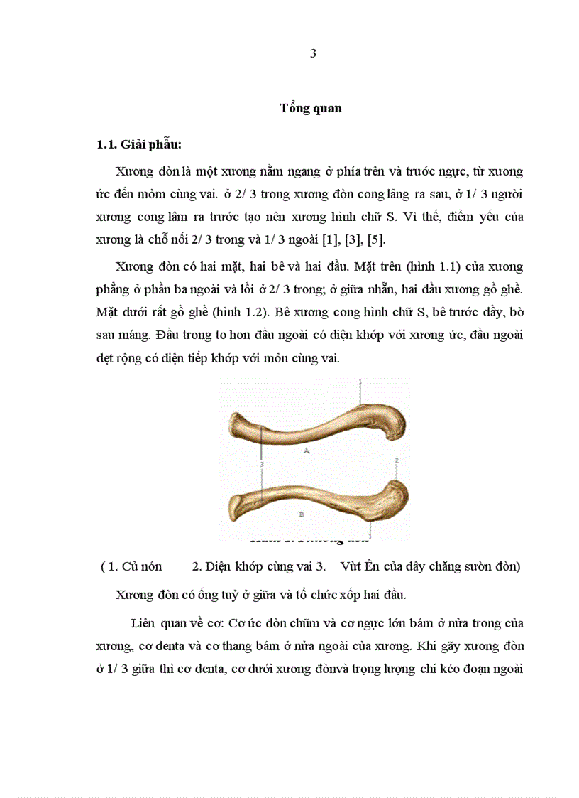 image for page Đánh giá kết quả điều trị khớp giả xương đòn bằng kết xương nẹp vít tại BVTW QĐ 108